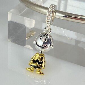 Peanuts Charlie Brown Dangle Charm